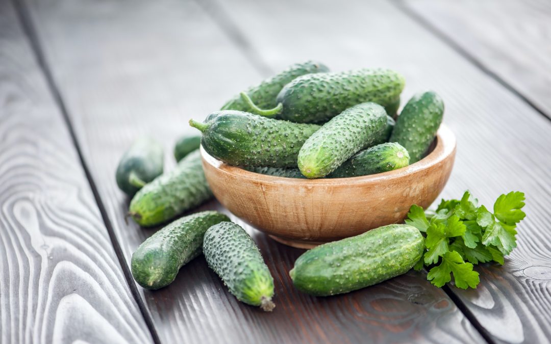 For A Newly Planted Cucumber Garden, When Should You Water?